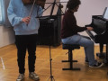 Viola