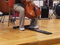 Violoncelo