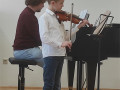 Viola