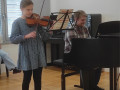Violina